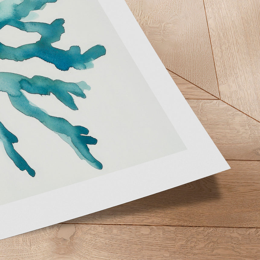 Plakat - Turquoise Coral - Kathrin Pienaar