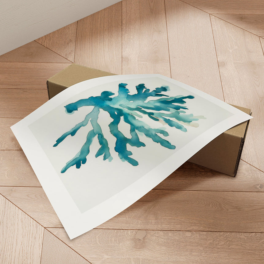 Plakat - Turquoise Coral - Kathrin Pienaar