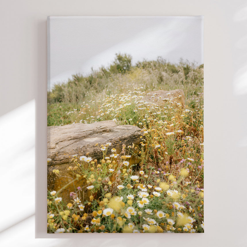 Lærredstryk - Golden Wildflower Meadow - Raisa Zwart