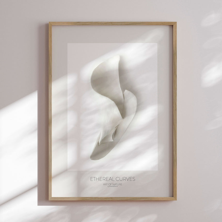 Plakat - Ethereal Curves - Jenja Braun