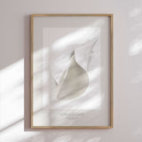 Plakat - Petal's Silence - Jenja Braun