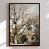 Lærredstryk - Oak Tree - Gemma Bardot