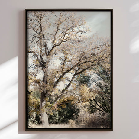 Lærredstryk - Oak Tree - Gemma Bardot