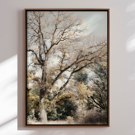 Lærredstryk - Oak Tree - Gemma Bardot