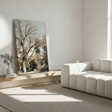 Lærredstryk - Oak Tree - Gemma Bardot