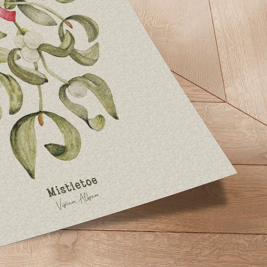 Plakat - Mistletoe with Red Bow - Olena Kovalova