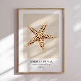 Plakat - Starfish - Merel Takken