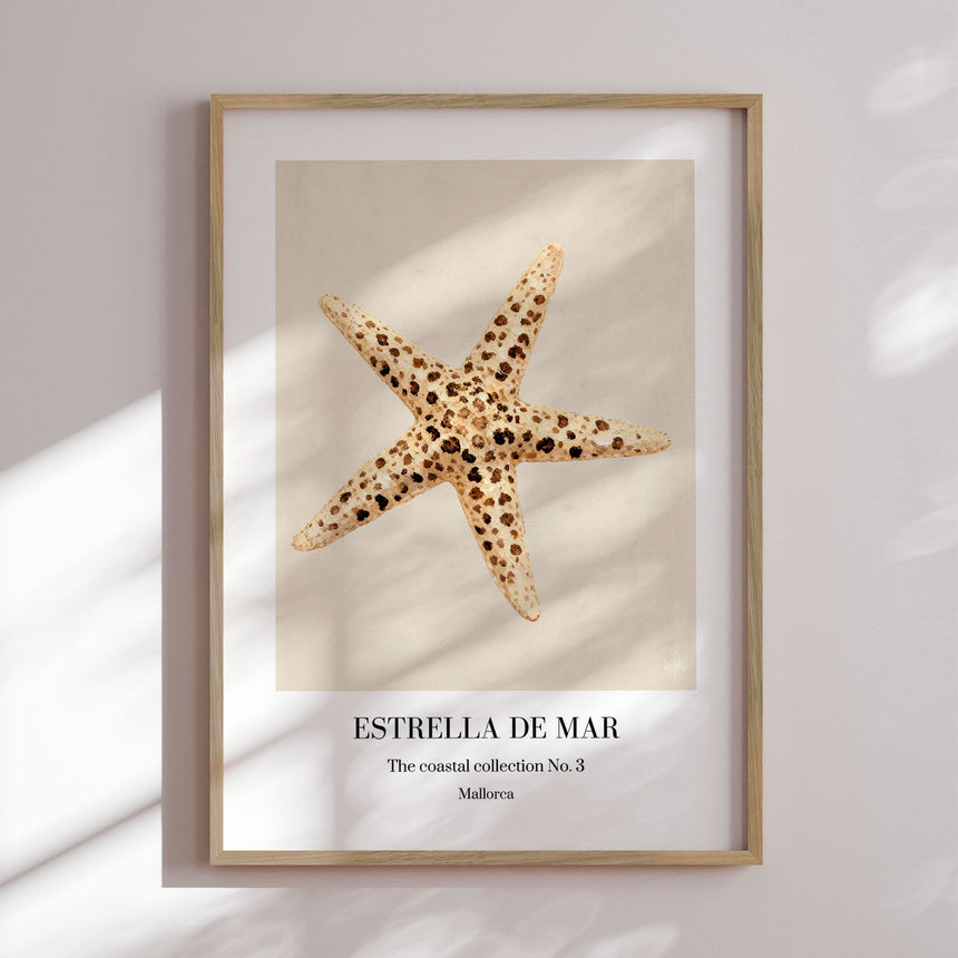 Plakat - Starfish - Merel Takken