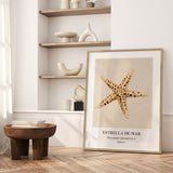 Plakat - Starfish - Merel Takken