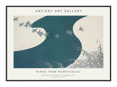 Birds From Momoyogusa 21 x 29,7  / A4 cm Plakat