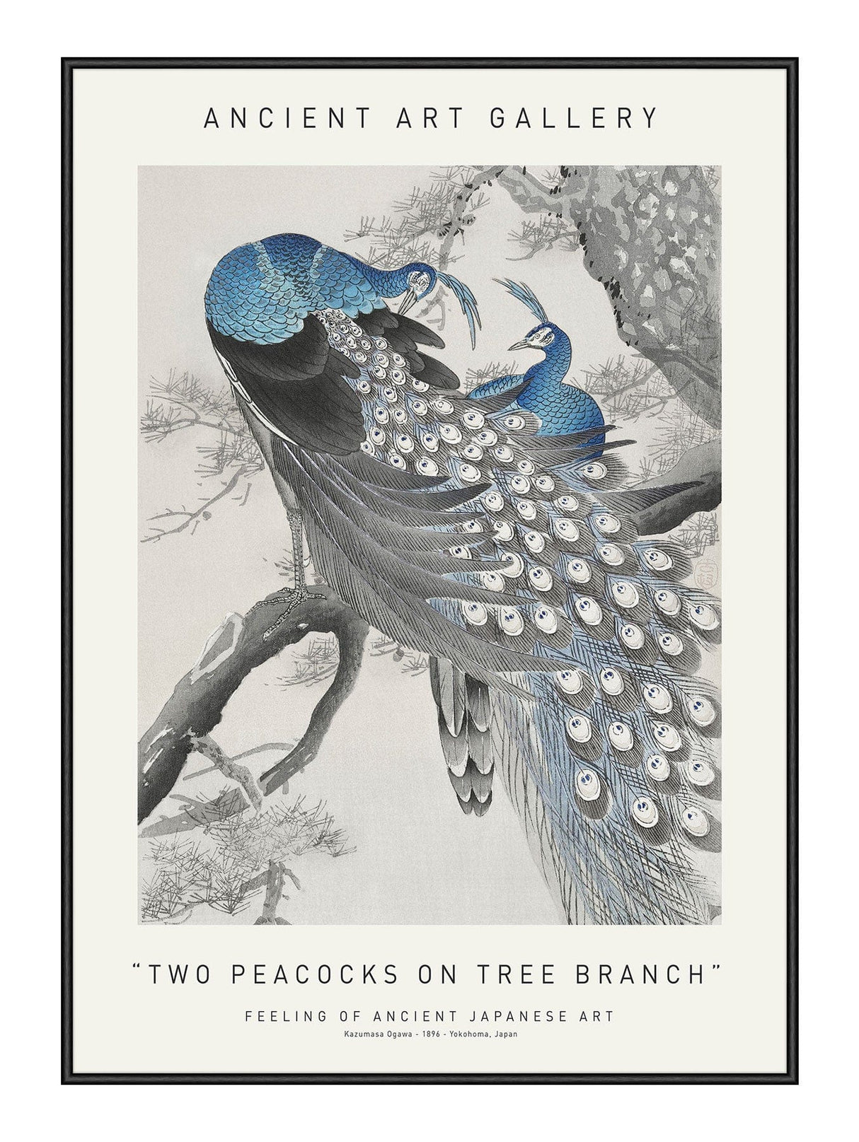 Two Peacocks On Tree Branch 21 x 29,7  / A4 cm Plakat