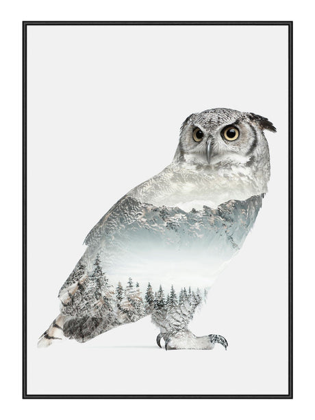 Plakat - White Owl - Incado
