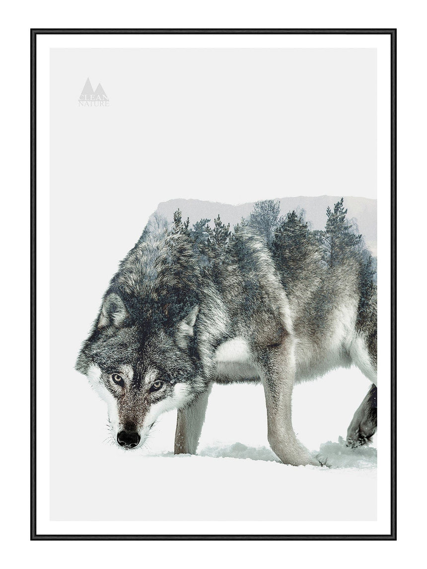 Plakat - Wolfie - Incado