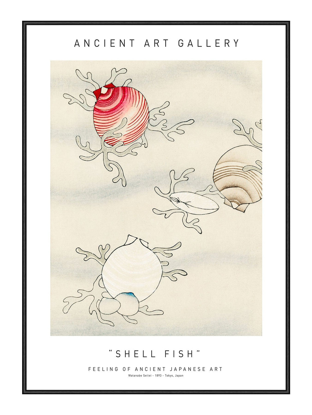 Shell Fish 21 x 29,7  / A4 cm Plakat