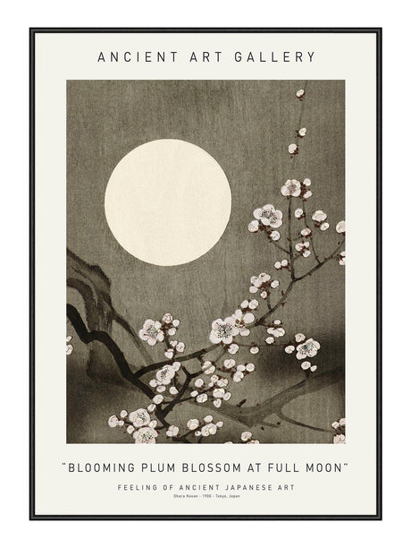 Blooming Plum Blossom At Full Moon 21 x 29,7  / A4 cm Plakat