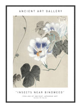Insects Near Bindweed 21 x 29,7  / A4 cm Plakat