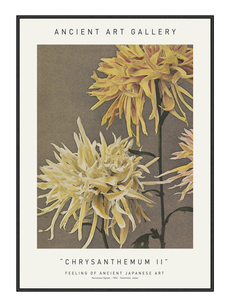 Chrysanthemum II 21 x 29,7  / A4 cm Plakat