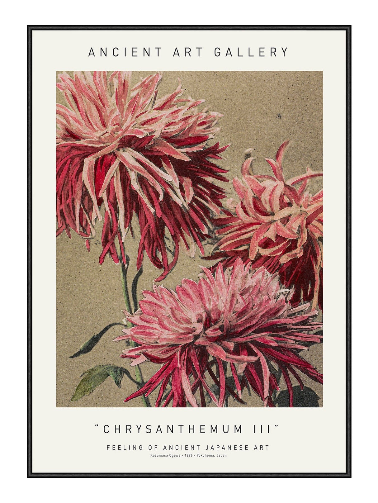 Chrysanthemum III 21 x 29,7  / A4 cm Plakat