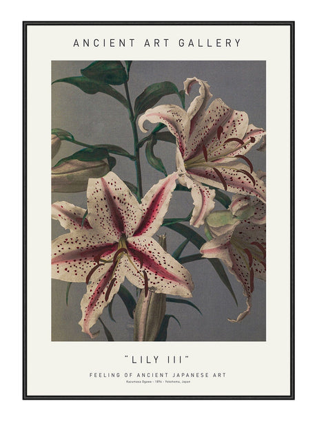Lily III 21 x 29,7  / A4 cm Plakat
