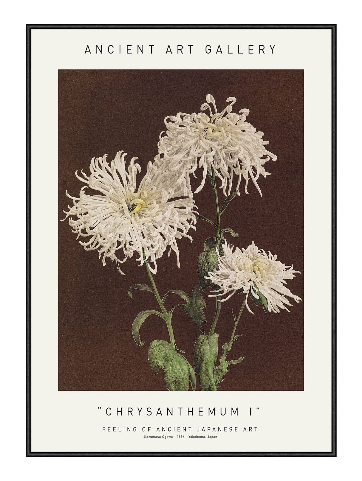 Chrysanthemum I 21 x 29,7  / A4 cm Plakat