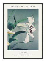 Lily IV 21 x 29,7  / A4 cm Plakat