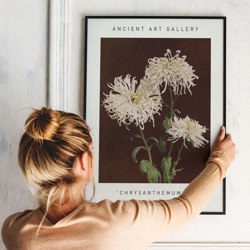 Plakat - Chrysanthemum I - Ancient Art - Incado