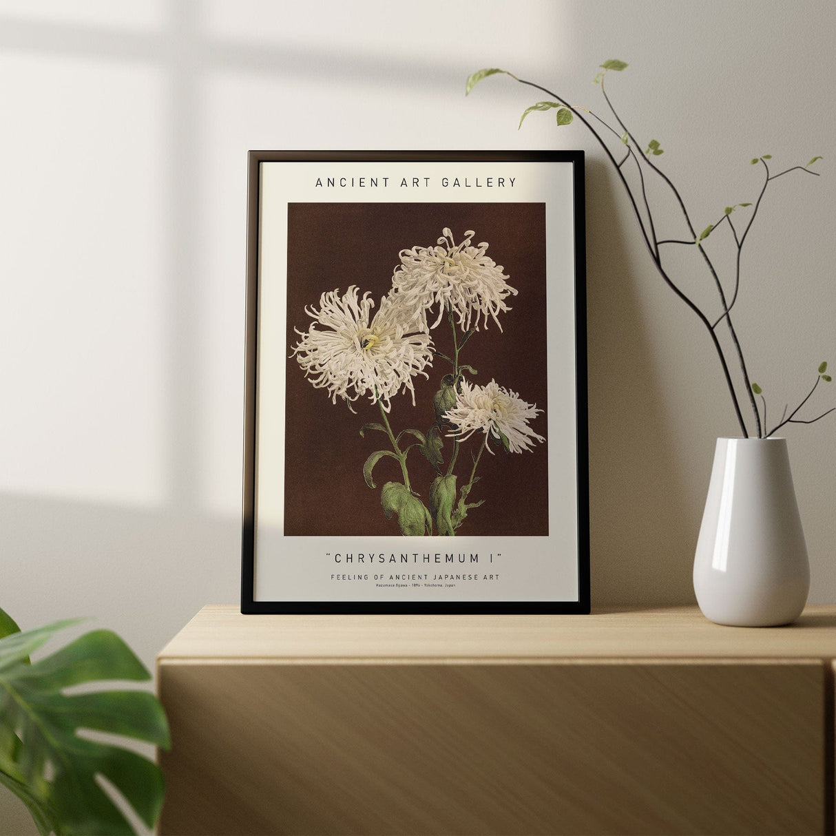 Chrysanthemum I