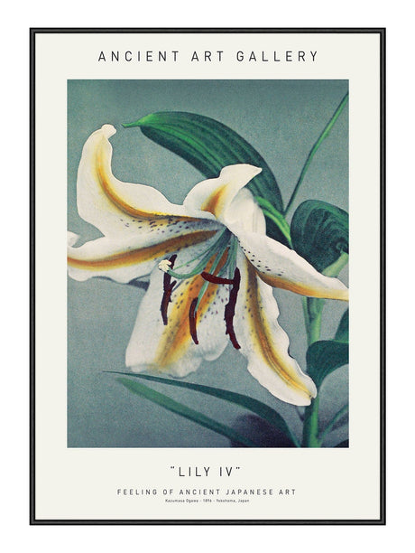 Lily V 21 x 29,7  / A4 cm Plakat