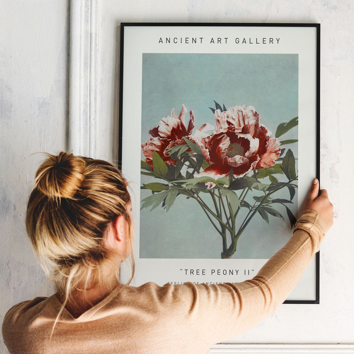 Tree Peony II
