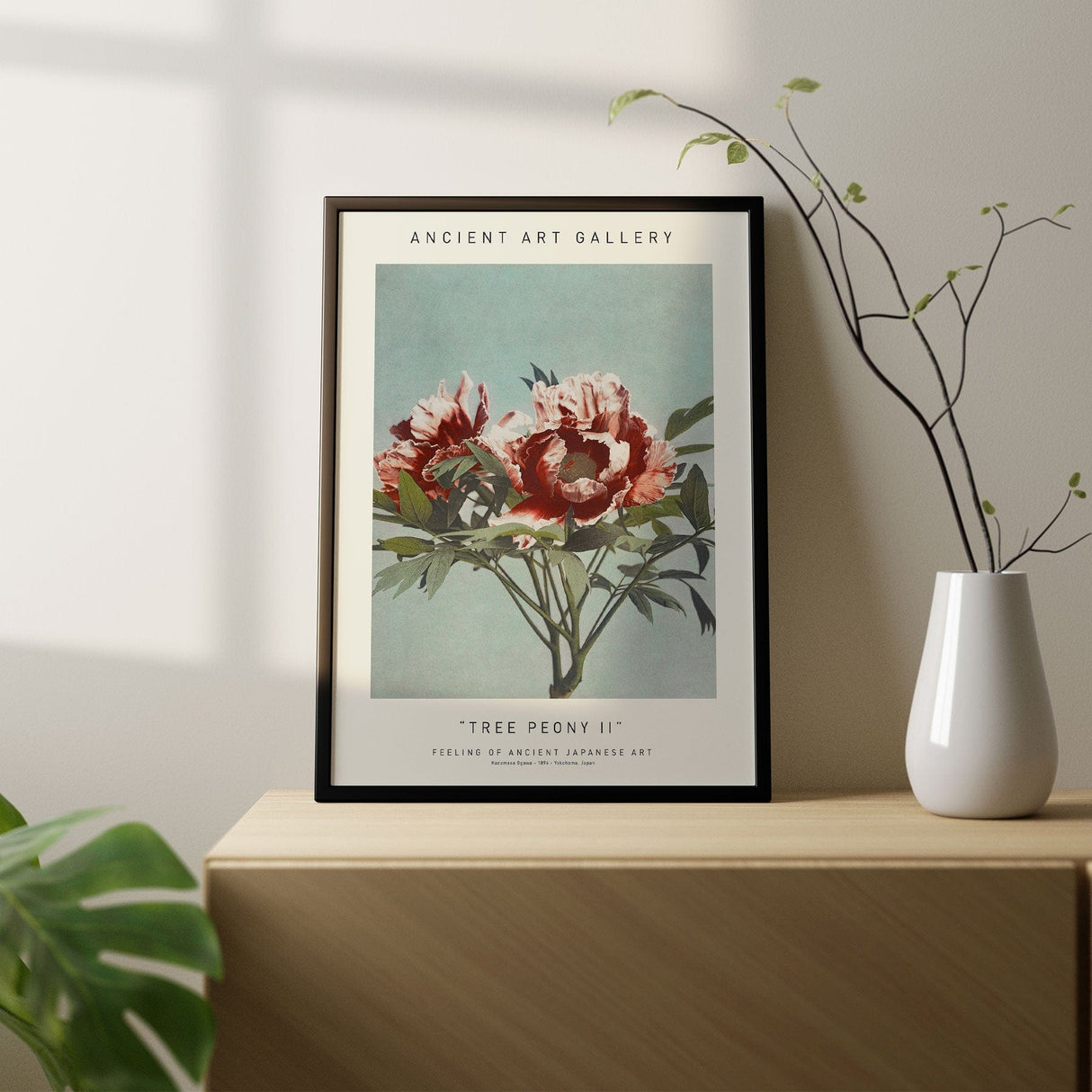 Tree Peony II