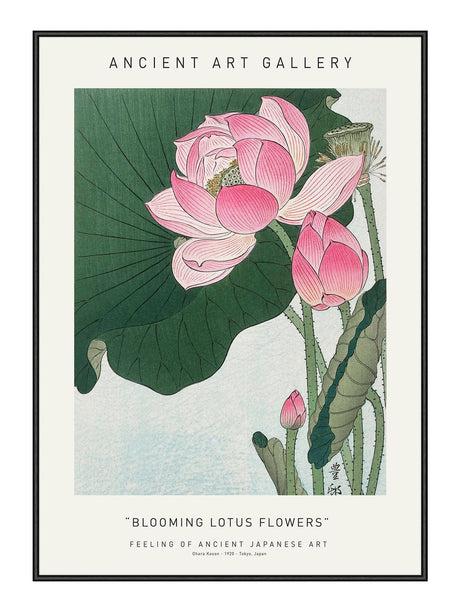 Plakat - Blooming Lotus Flowers - Ancient Art - Incado