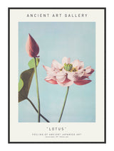 Plakat - Lotus - Ancient Art - Incado