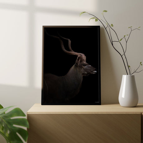 Plakat - Majestic Kudu II - Incado