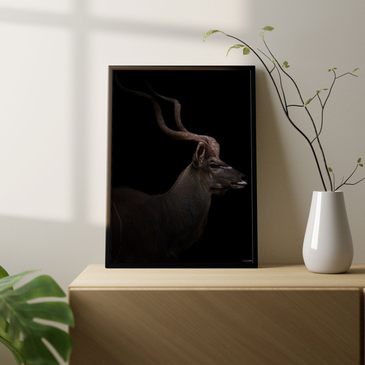 Majestic Kudu II