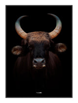 Great Buffalo 21 x 29,7  / A4 cm Plakat