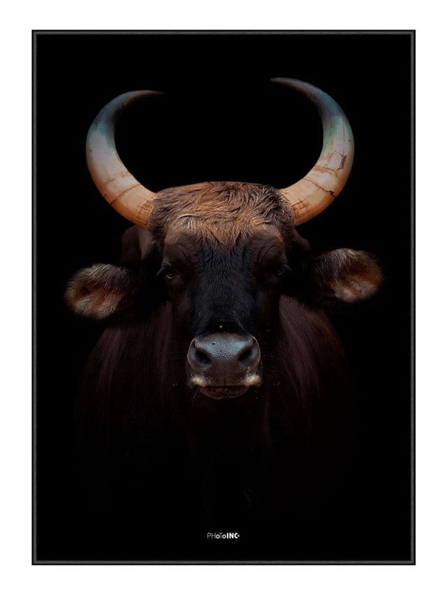 Great Buffalo 21 x 29,7  / A4 cm Plakat
