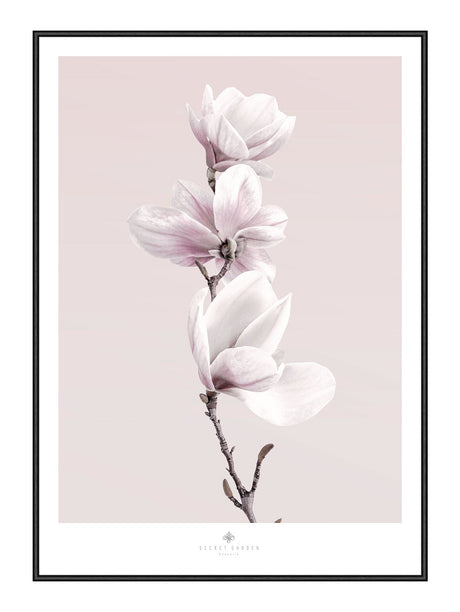 Magnolia I 21 x 29,7  / A4 cm Plakat