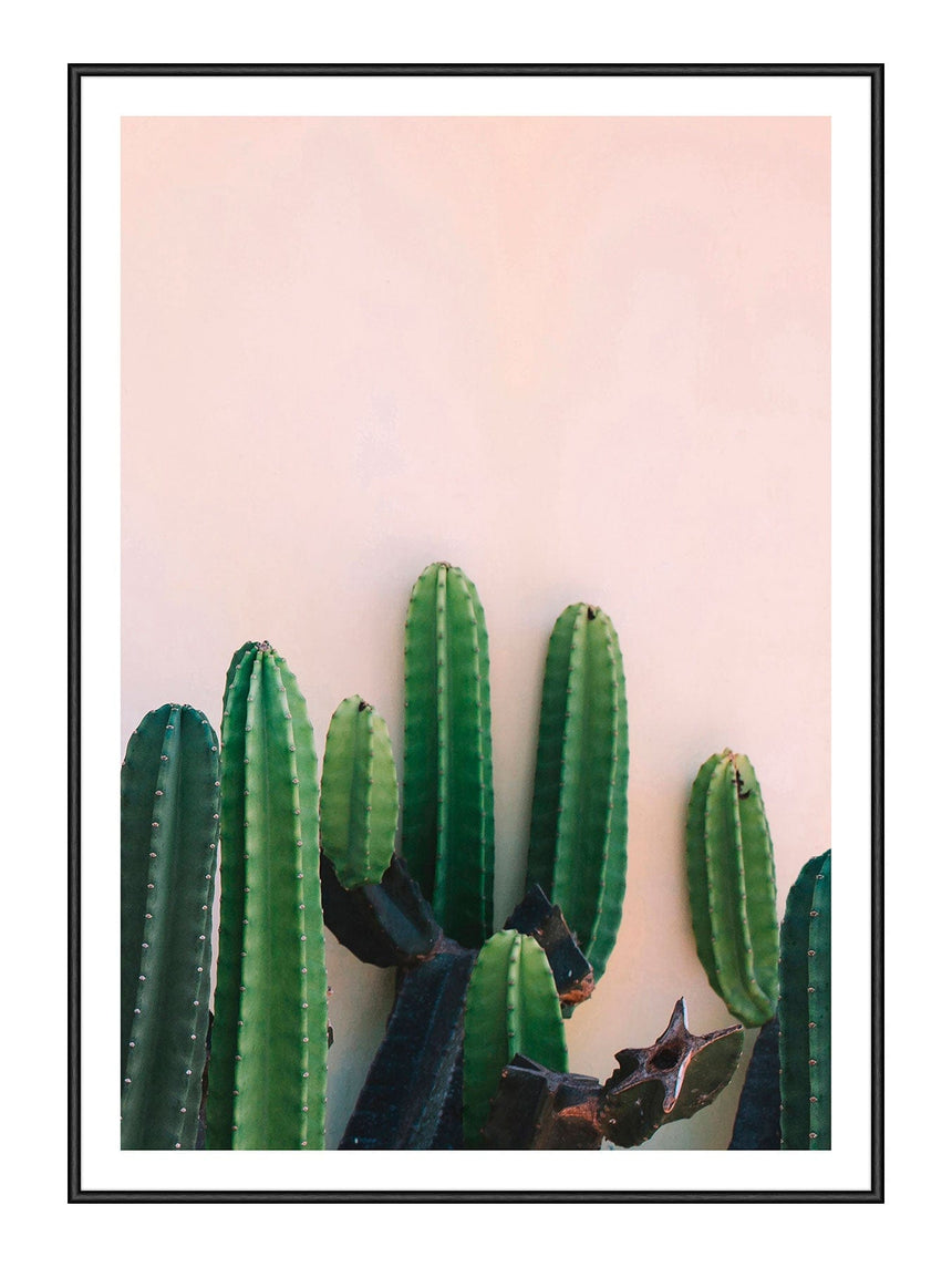 Plakat - Naked Cactus - Incado