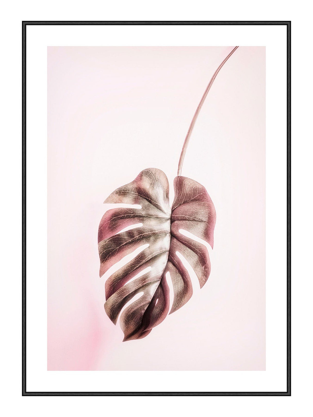 Pink Monstera 21 x 29,7  / A4 cm Plakat