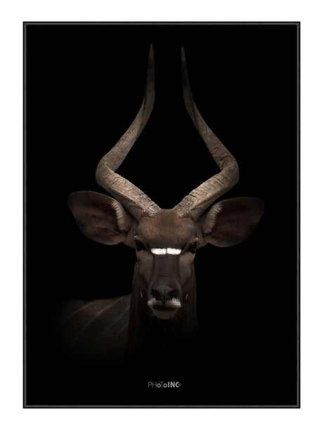 Plakat - Majestic Antelope - Incado