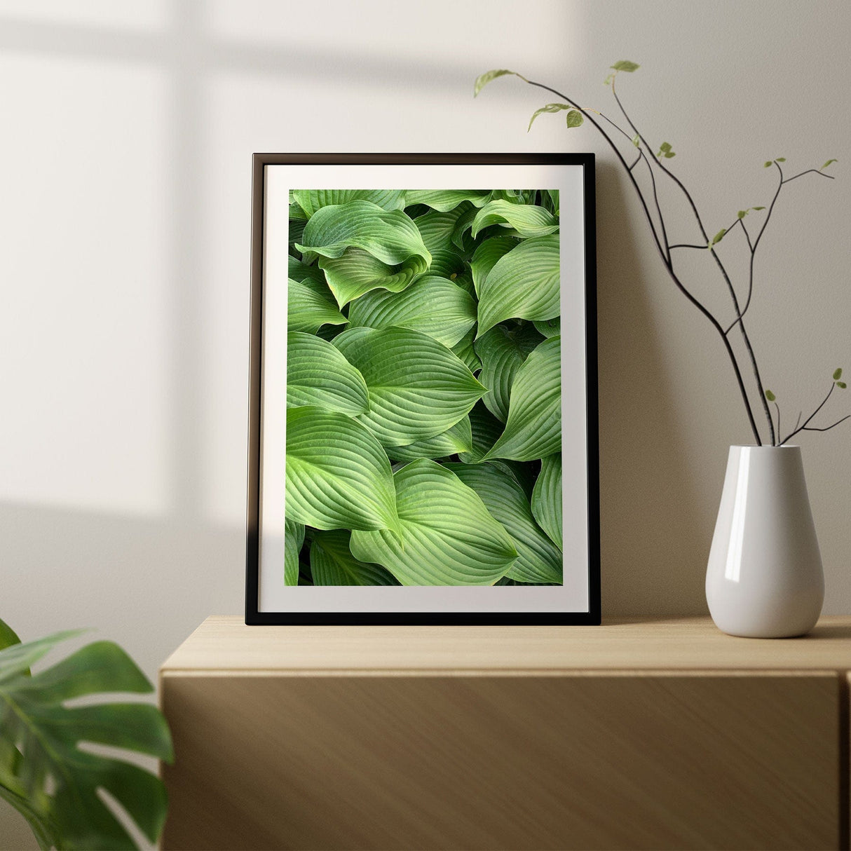 Green Hosta