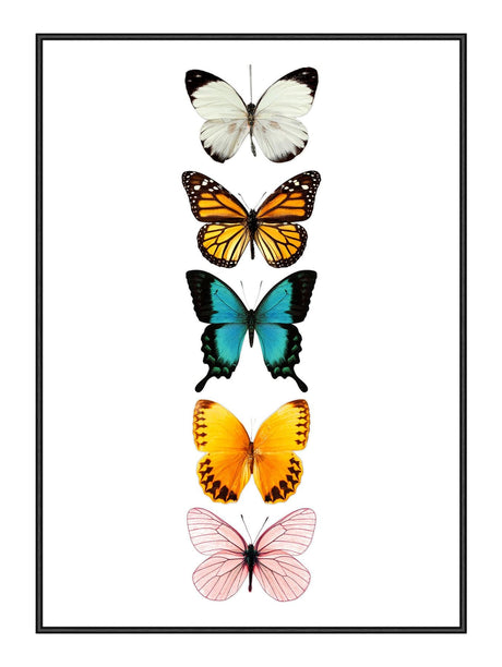 Plakat - Butterflies - Incado