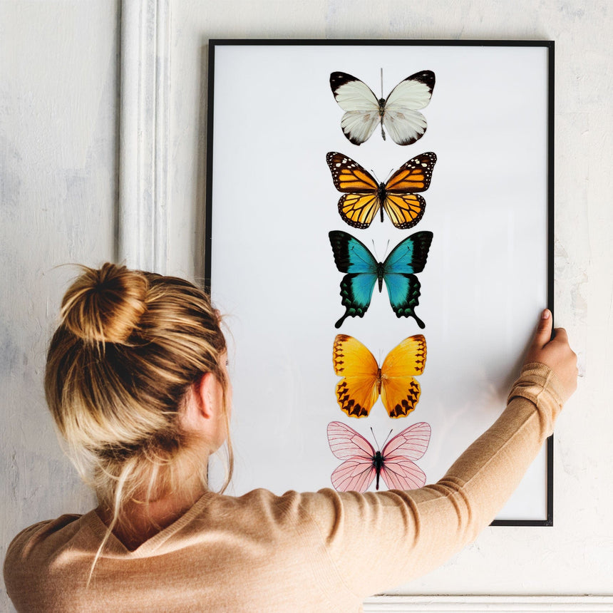 Plakat - Butterflies - Incado