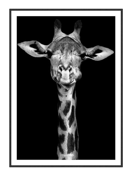 Giraffic 50 x 70  cm Plakat