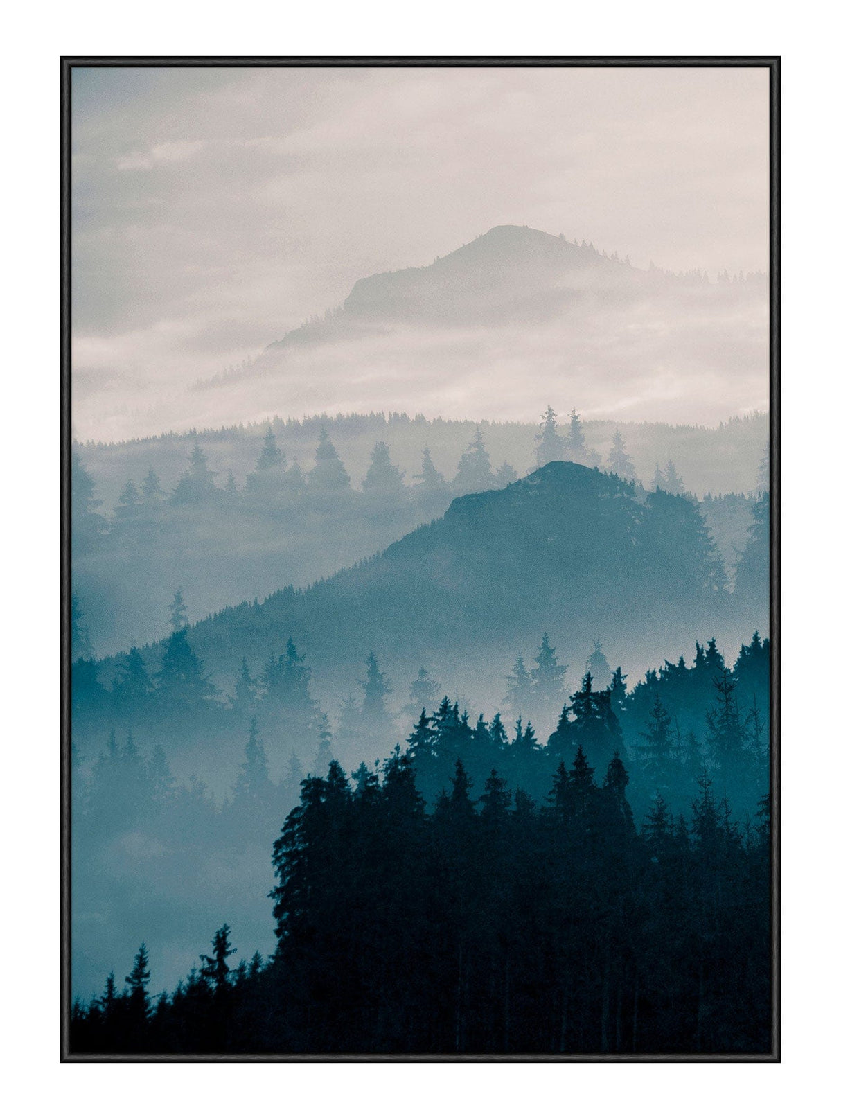 Foggy Forest 50 x 70  cm Plakat