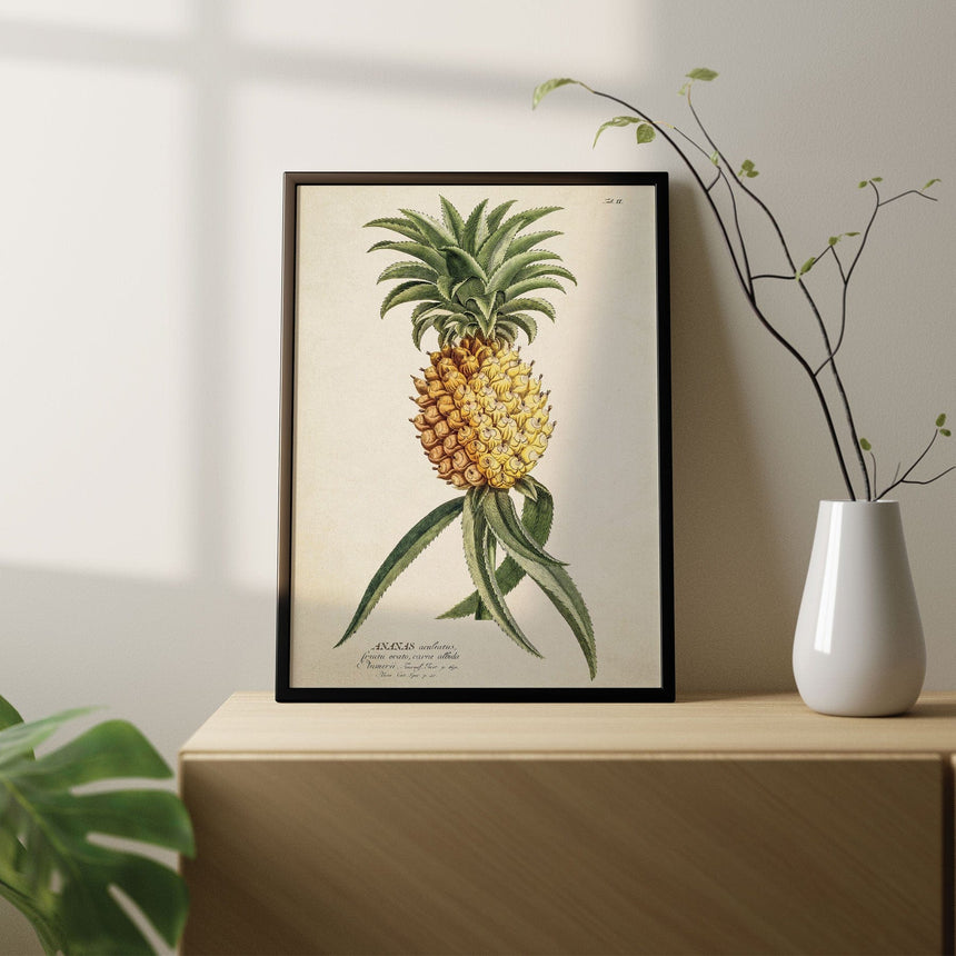 Plakat - Ananas - Incado