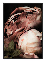 Plakat - Roses - Incado