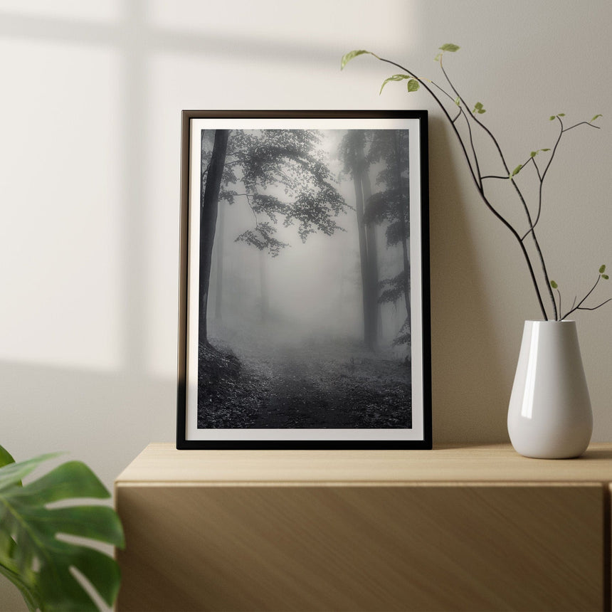Plakat - Misty Forest - Incado