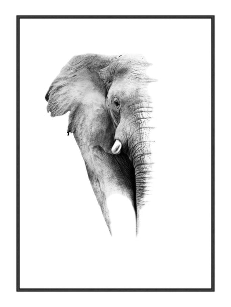 Plakat - Elephant - Incado