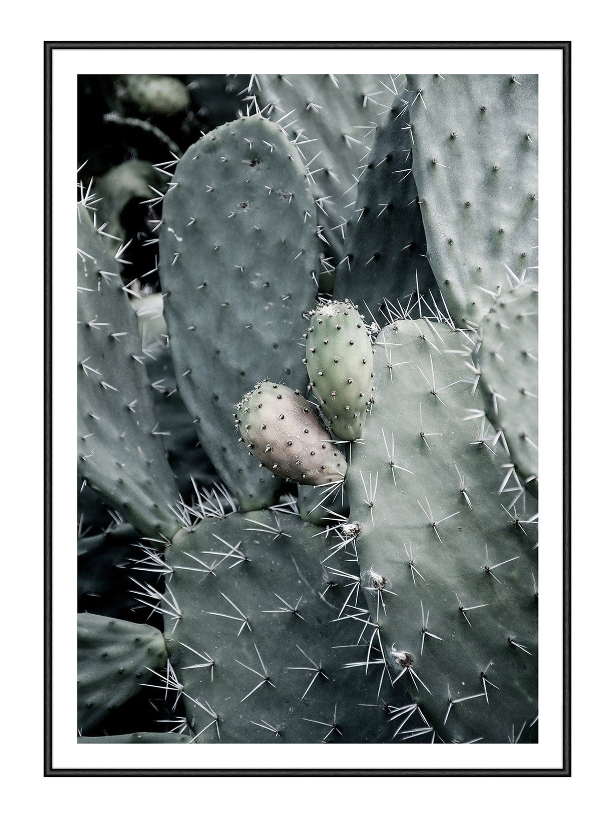 Sticky 50 x 70  cm Plakat
